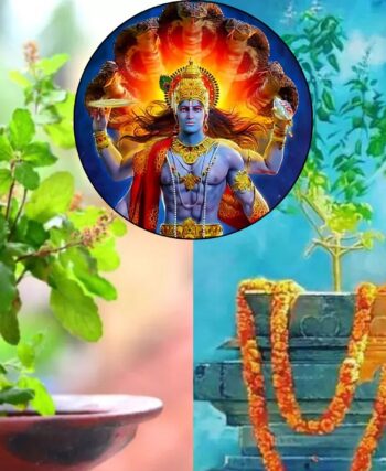 How to Decorate the Puja Thali, Perform the Puja, and What Women Should Wear on Tulsi Pujan Diwas/Tulsi Vivah - Meghashop