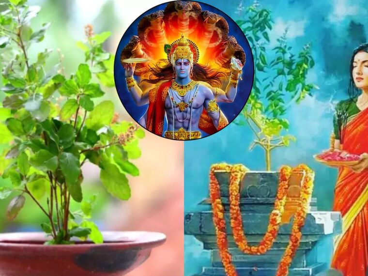 How to Decorate the Puja Thali, Perform the Puja, and What Women Should Wear on Tulsi Pujan Diwas/Tulsi Vivah - Meghashop